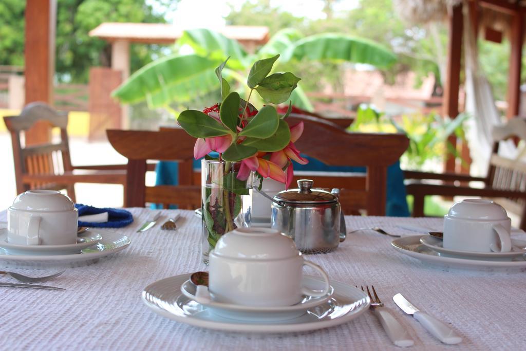 Hotel Pousada Paraiso Dos Ipes Jijoca de Jericoacoara Exteriér fotografie